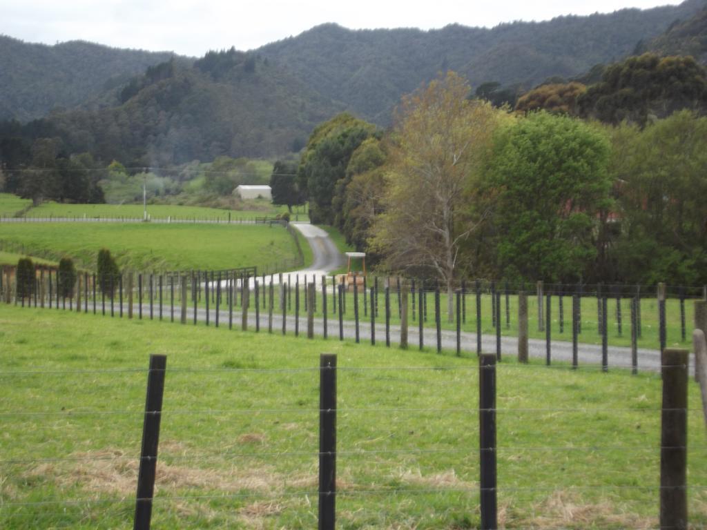 The Little Farm Coromandel Ξενοδοχείο Δωμάτιο φωτογραφία