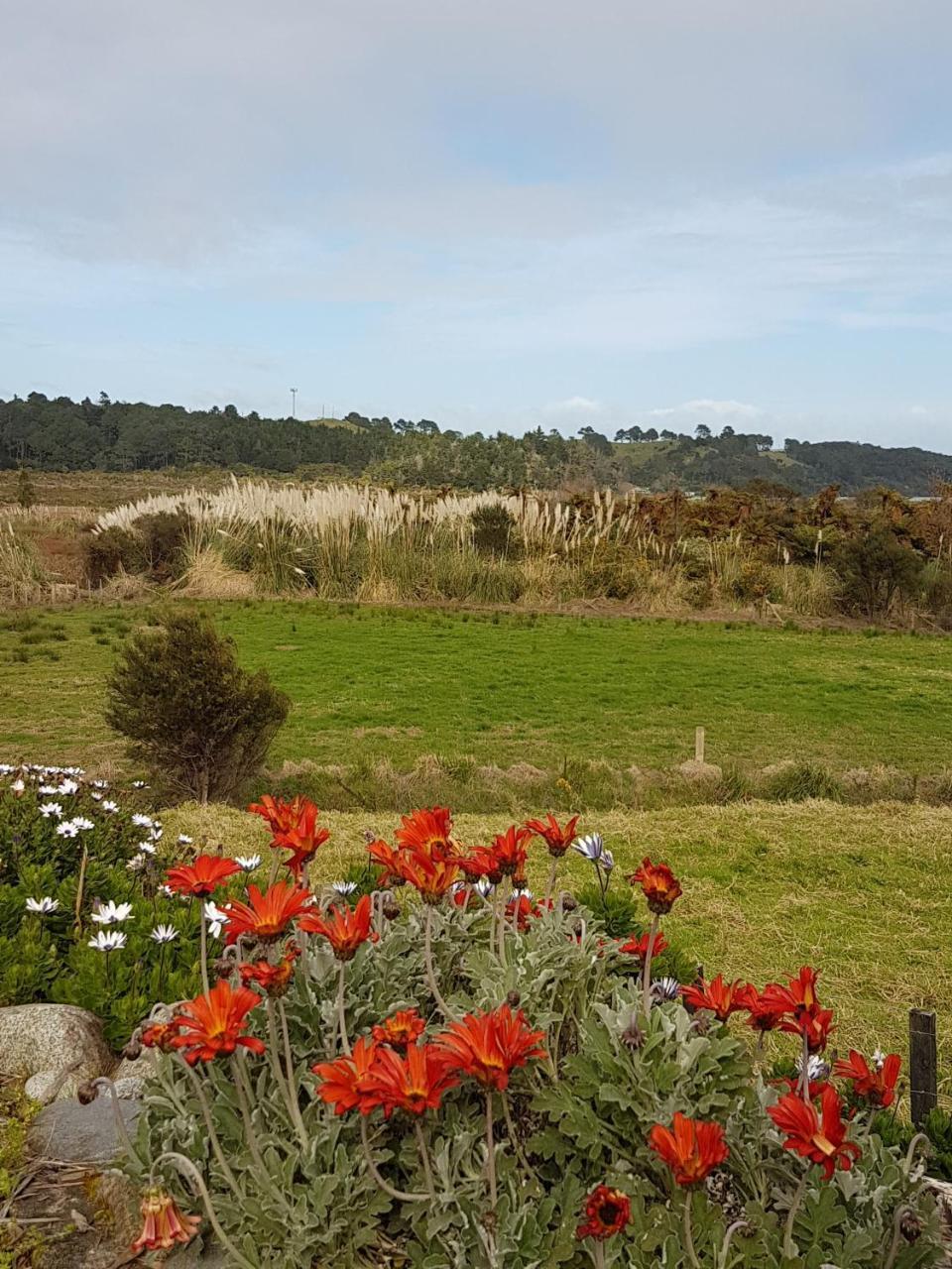 The Little Farm Coromandel Ξενοδοχείο Εξωτερικό φωτογραφία