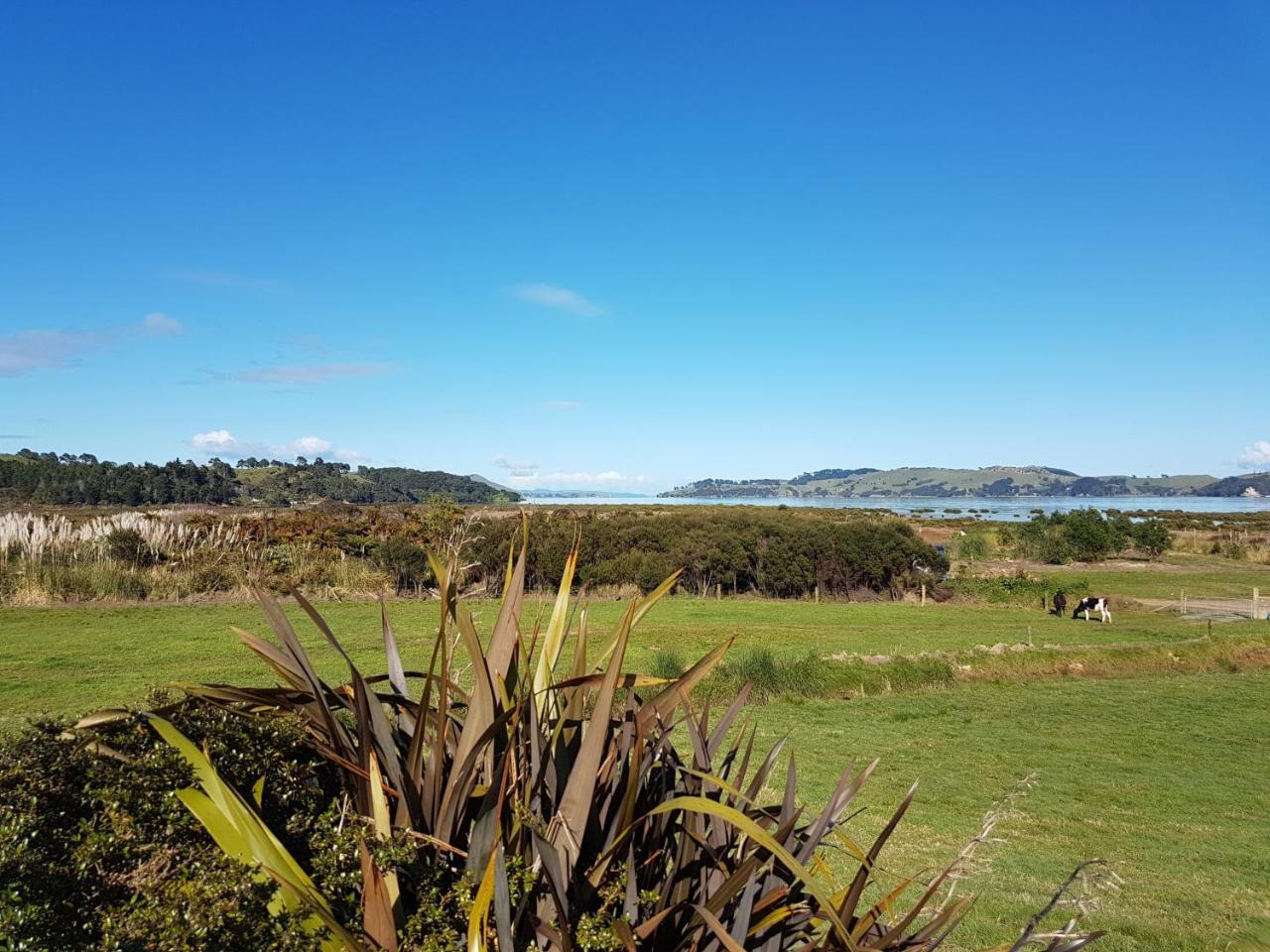 The Little Farm Coromandel Ξενοδοχείο Εξωτερικό φωτογραφία