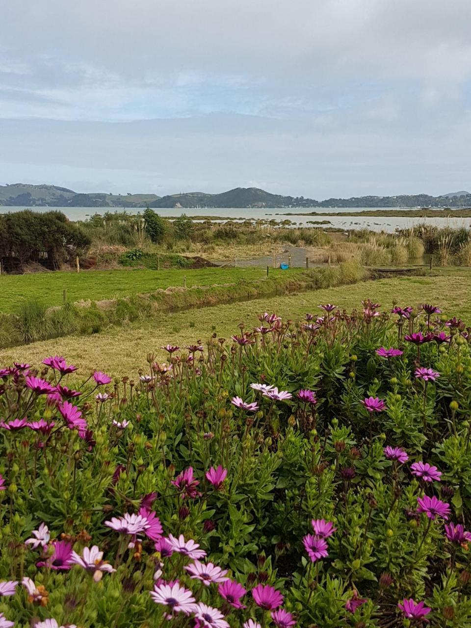 The Little Farm Coromandel Ξενοδοχείο Εξωτερικό φωτογραφία