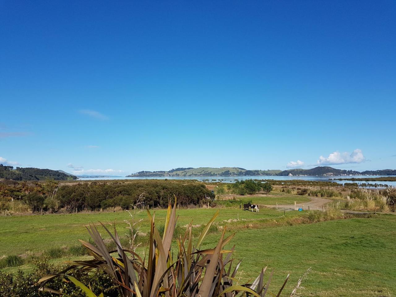 The Little Farm Coromandel Ξενοδοχείο Εξωτερικό φωτογραφία